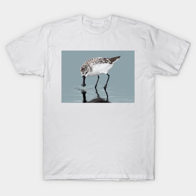 Spoon-billed Sandpiper T-Shirt by BarefootSeeker